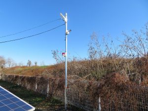 IMG_8686