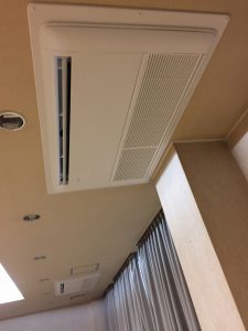 IMG_3246