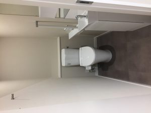 IMG_1377